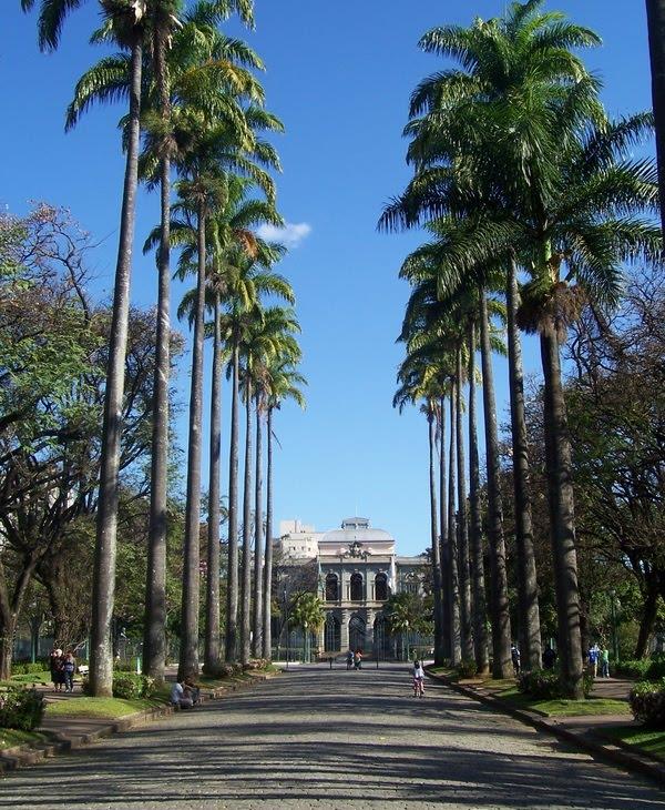 Alameda de palmeiras em frente ao Palácio da Liberdade iluminado
